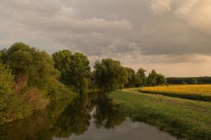 DP40652 DP40652