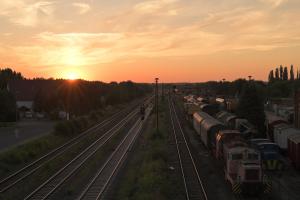 DP31265 DP31265